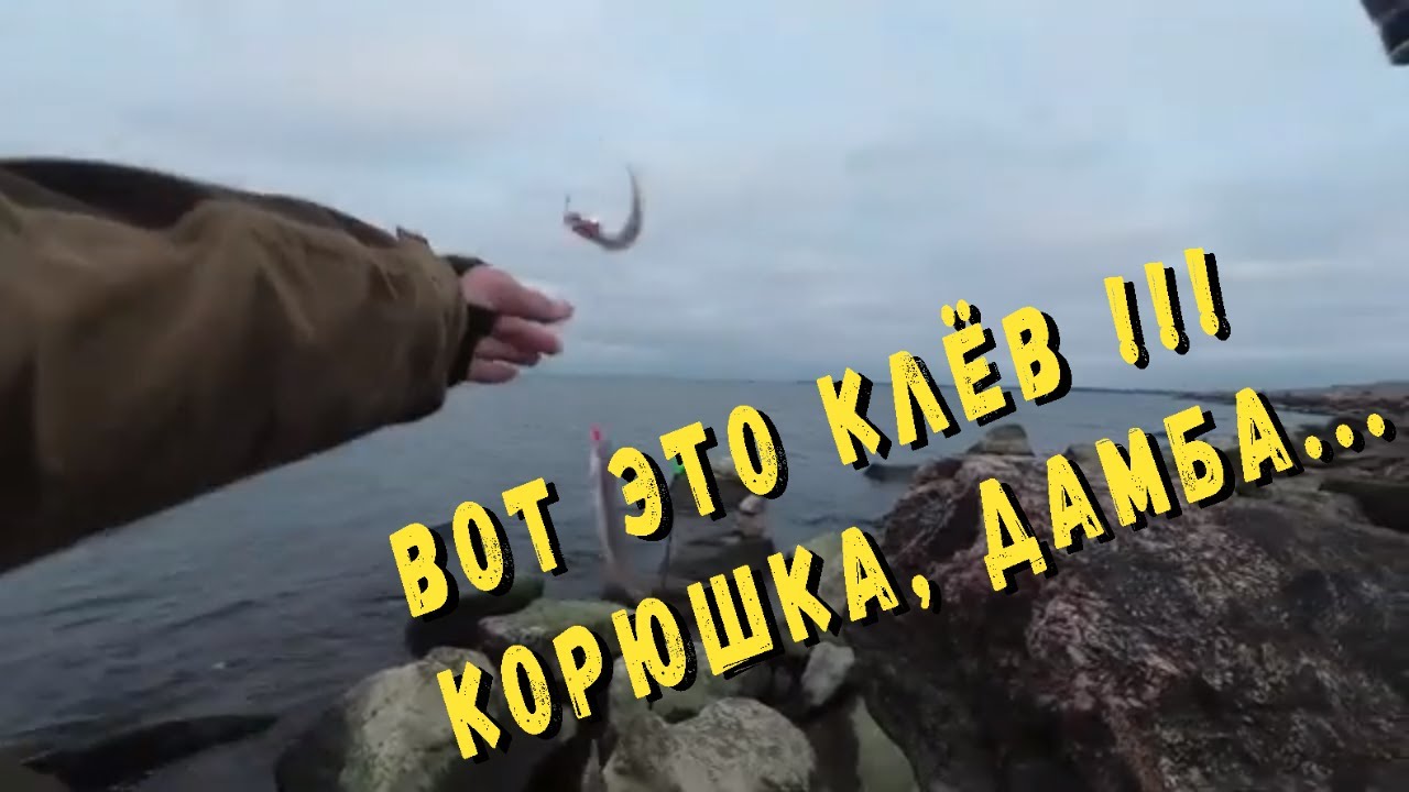 Отличный клёв корюшки. Это кайф )))