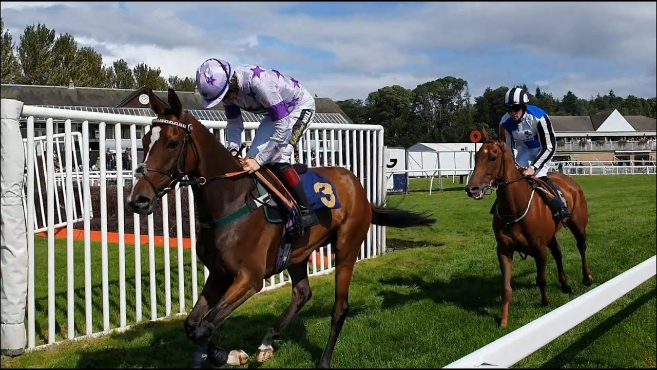 I went to the Summer Carnival at Perth Races