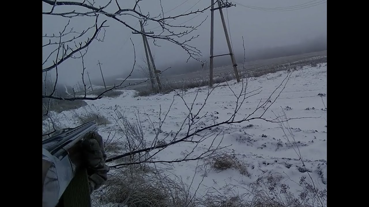 Охота на зайца 13 12 25