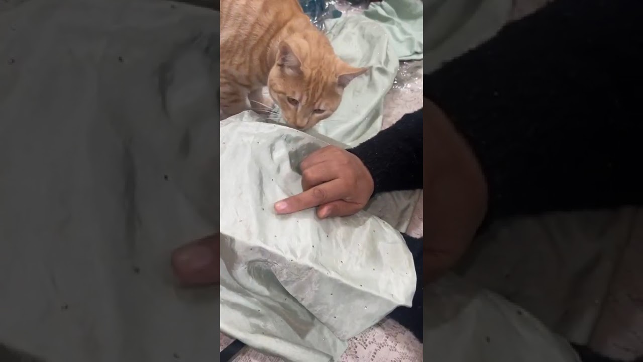 Maria B and Zara Shahjahan  new deals in bfresh 🔥🔥