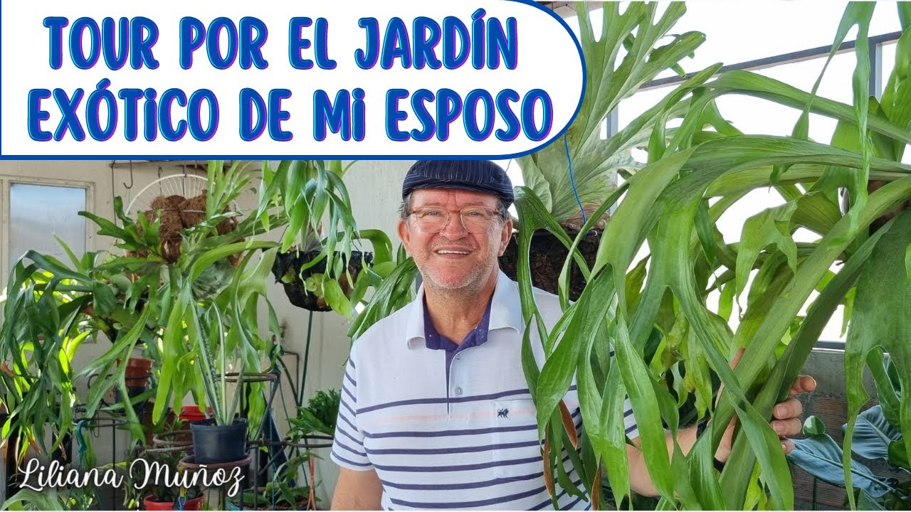 TOUR POR EL JARDIN DE HELECHOS EXÓTICOS de mi ESPOSO/lILIANA mUÑOZ