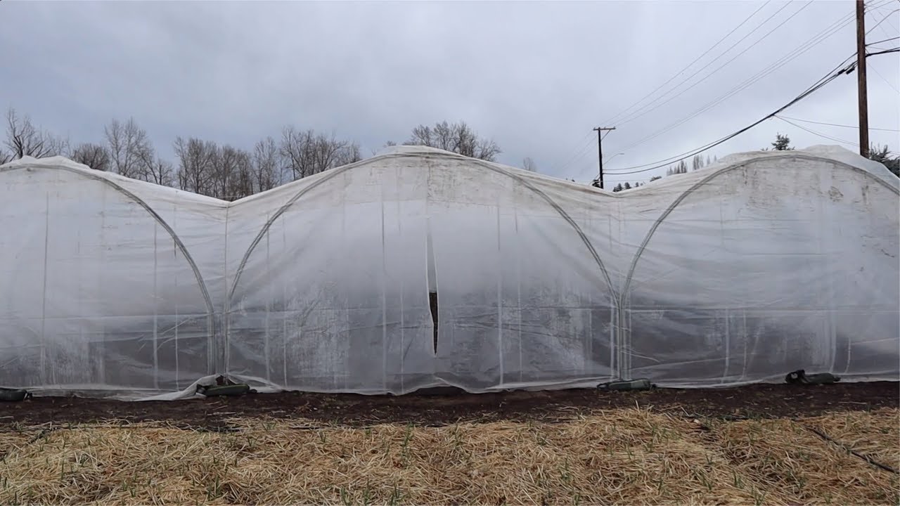 Jaw-Dropping Design - The Most Radical Caterpillar Greenhouse I've Seen!