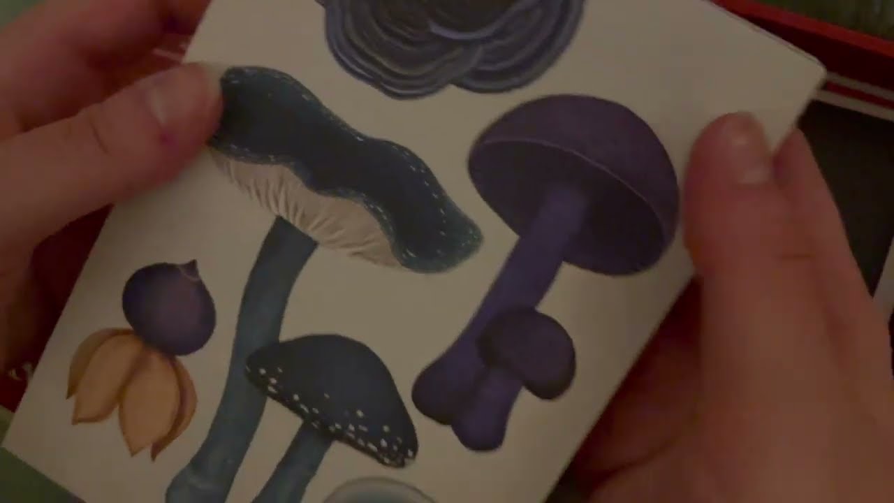 ASMR Tracing Pictures of Mushrooms || Lo-fi Illustrated Postcards Whispered Tapping and Tracing