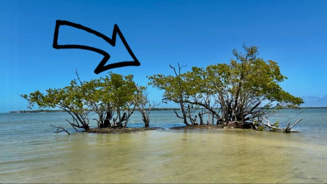 Fishing and Exploring The Ten Thousand Islands on GHEENOE!!