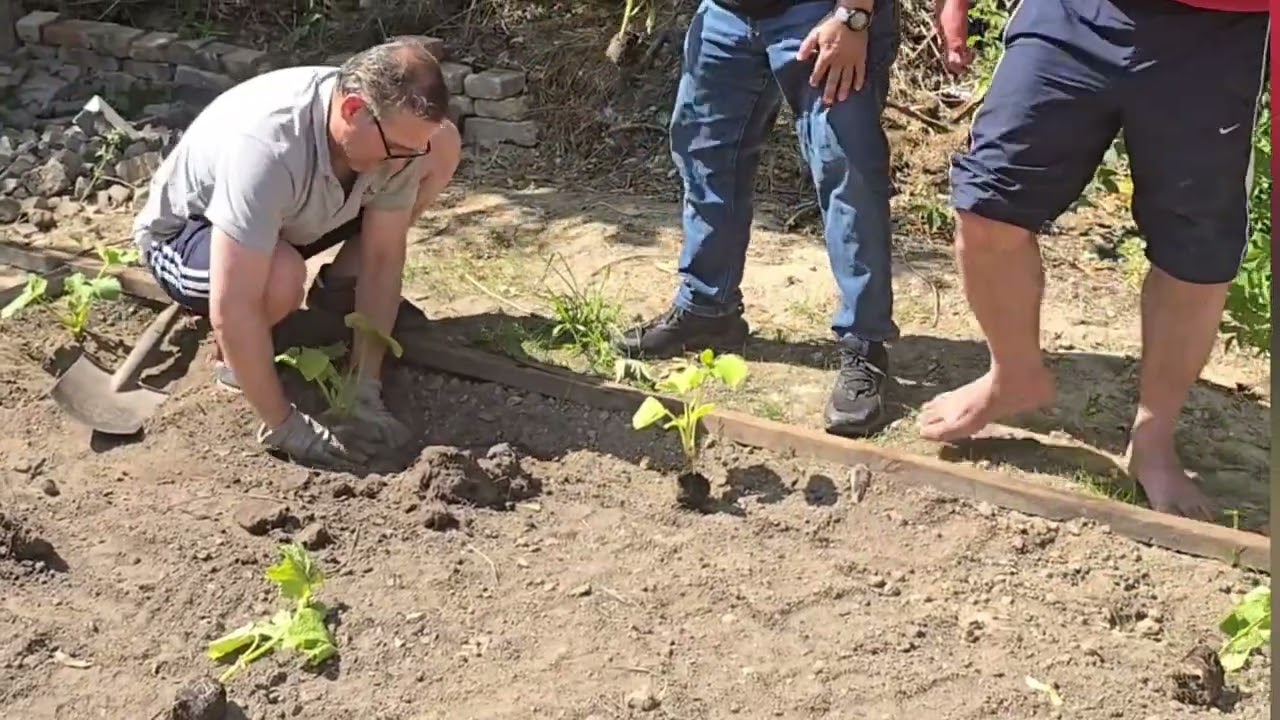 الزياره لزراعه الحدائق في برلين المانيا.