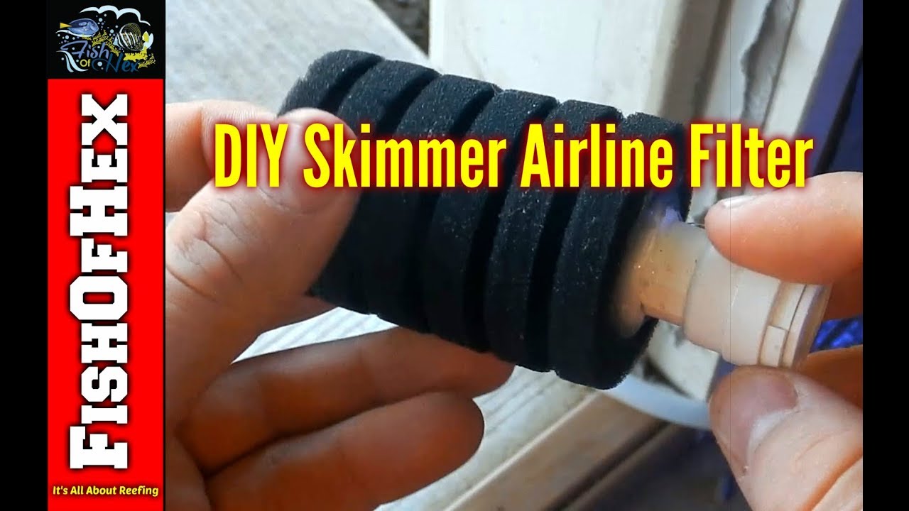 DIY Skimmer Airline Filter | Fish Room