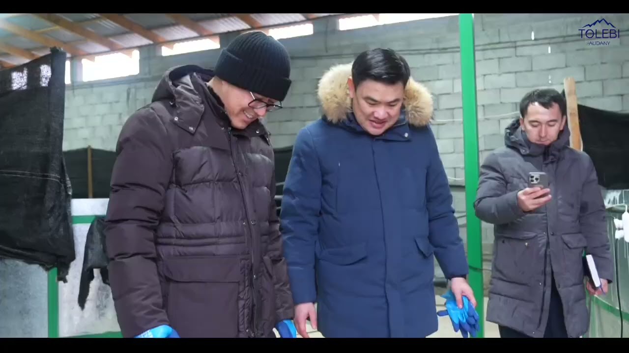 ТӨЛЕБИ АУДАНЫНДА ИНВЕСТОР 400 МЛН ТЕҢГЕГЕ БАЛЫҚ ШАРУАШЫЛЫҒЫН ҚОЛҒА АЛҒАН