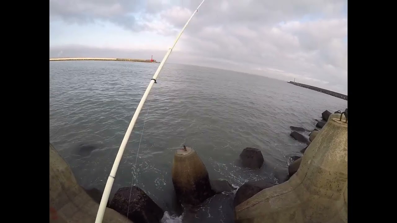 peter釣具DIY 永安一直在填消波樁 一直在抽沙  想著到竹圍試試看有沒有毛😃