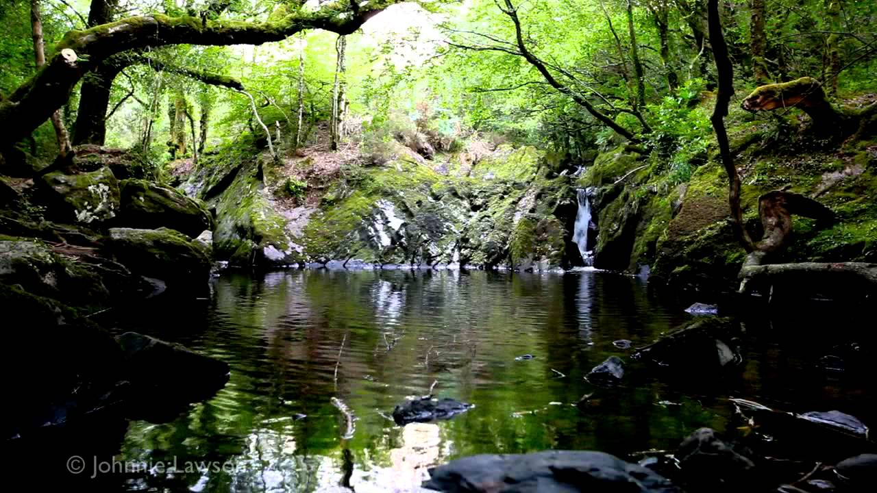 8 Hours Gentlewhispering-Relaxing Book Reading-Storytelling-Audiobook-Get to Sleep