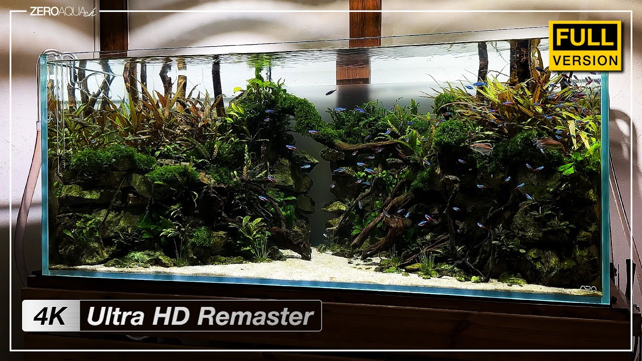 120cm水槽【追憶の森】 立ち上げから完成まで - 4K Ultra HD Remaster Edition -　/アクアリウム/aquarium/120cm/vlog/