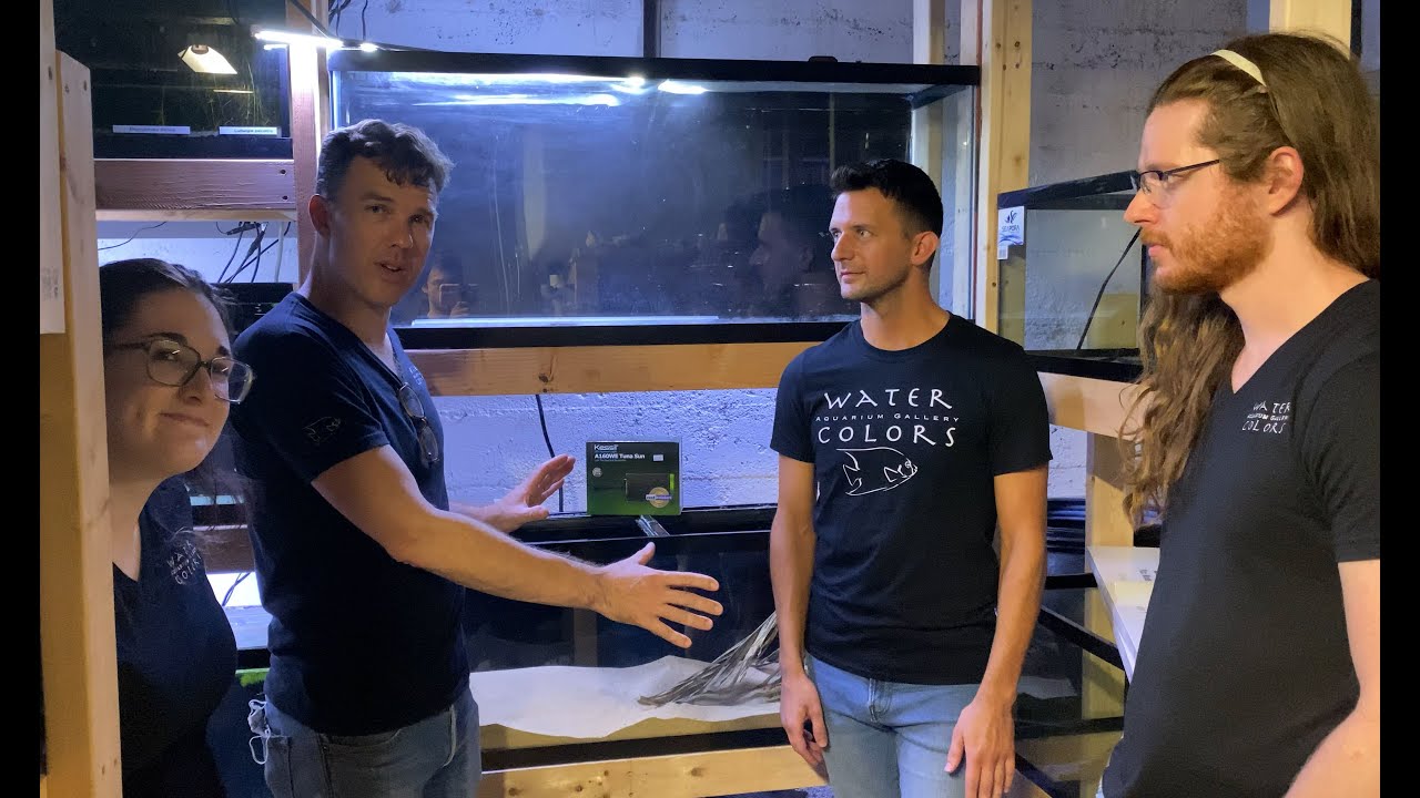 Planning a Rio Negro Biotope
