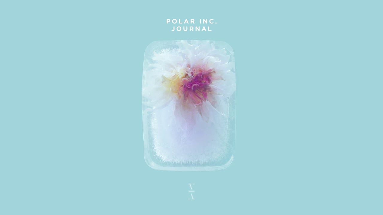 Polar Inc. - Journal