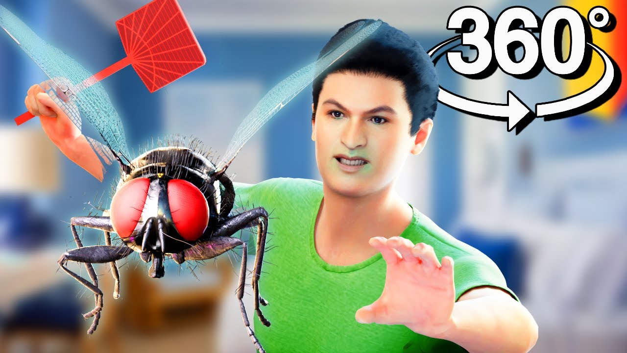 YOU ARE A FLY 360° VR Experience