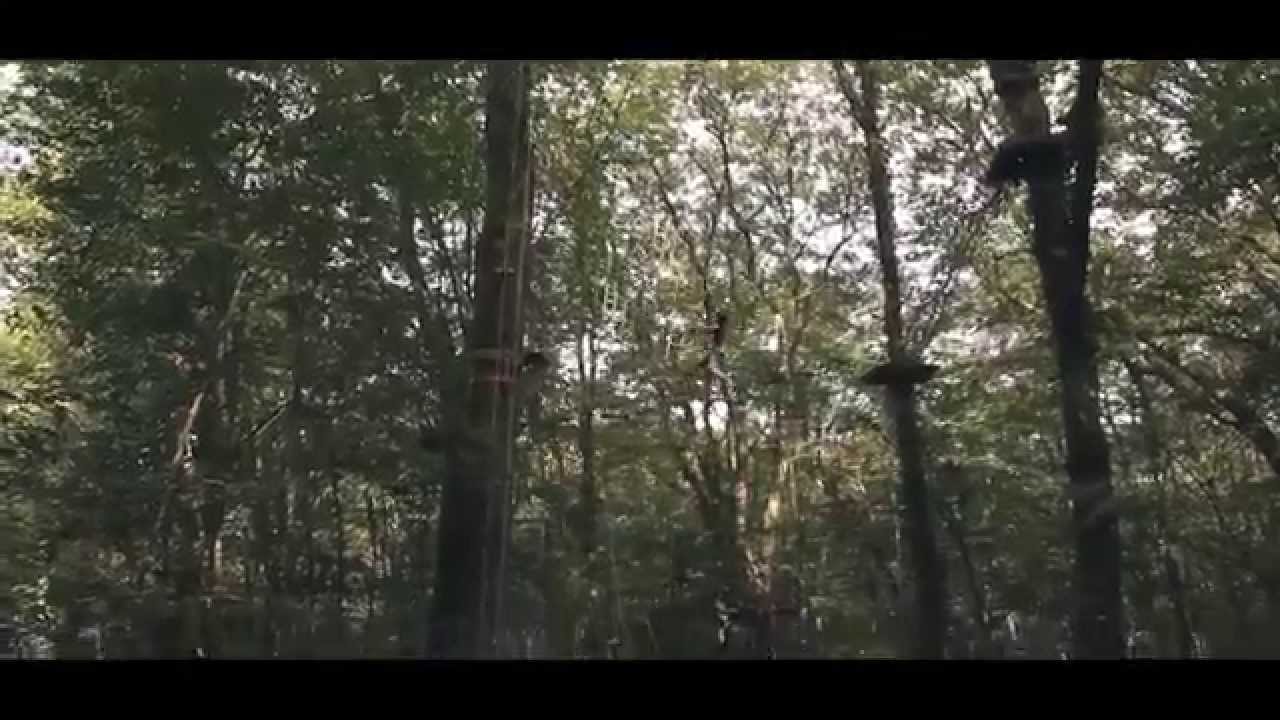 Présentation du parc d'accrobranche Arbor et Sens