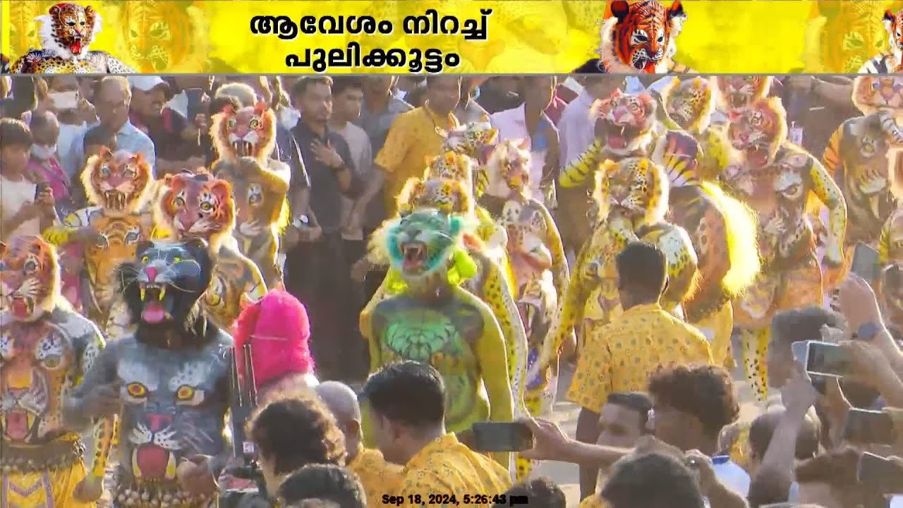 കളറാക്കി കളർ പുലികൾ..ആഘോഷത്തോടൊപ്പം ആവേശവും;  തൃശൂർ നഗരം വളഞ്ഞ് പുലിപ്പട | Pulikali