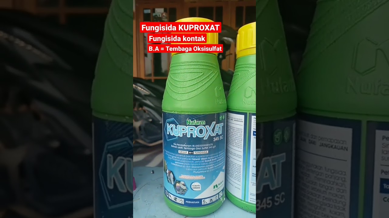 Manfaat Fungisida Kuproxat #youtubeshorts #petani #fyp