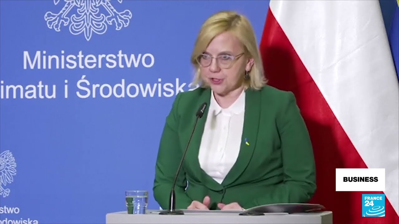 Poland, Bulgaria seek alternative sources as Russia cuts gas supply &bull; FRANCE 24 English