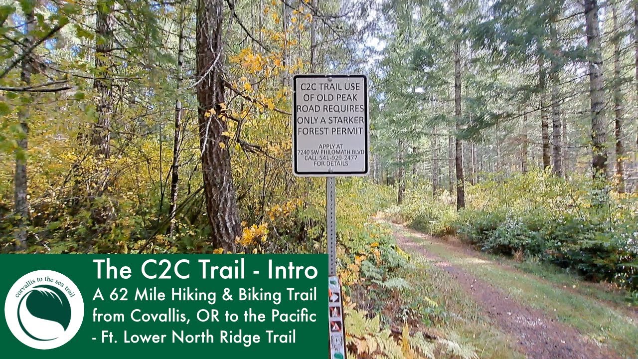 Exploring the Lower North Ridge Trail | C2C Trail (Corvallis to the Coast)