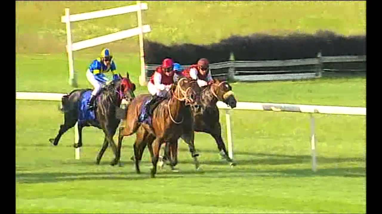Derby 05.07.2015 (D20; G7; tor:2,9 ;31°C)