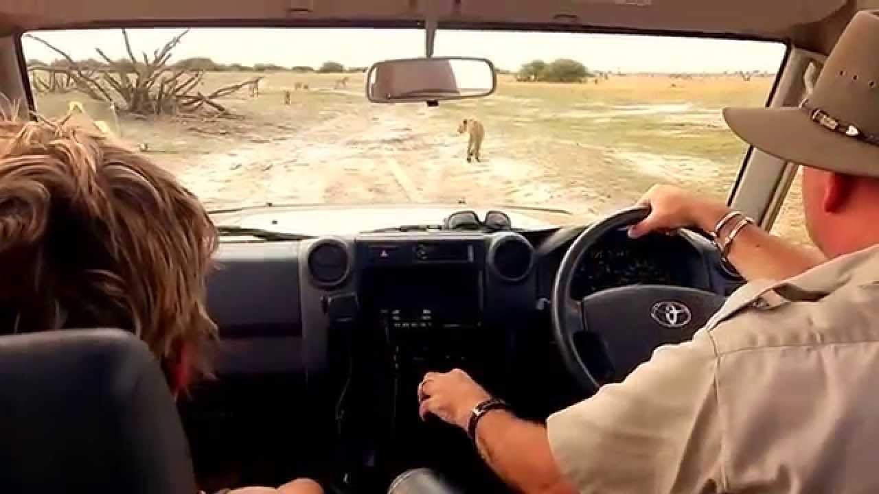 Kalahari Tours Camping in Savute 2014-11-11 Film nr 2