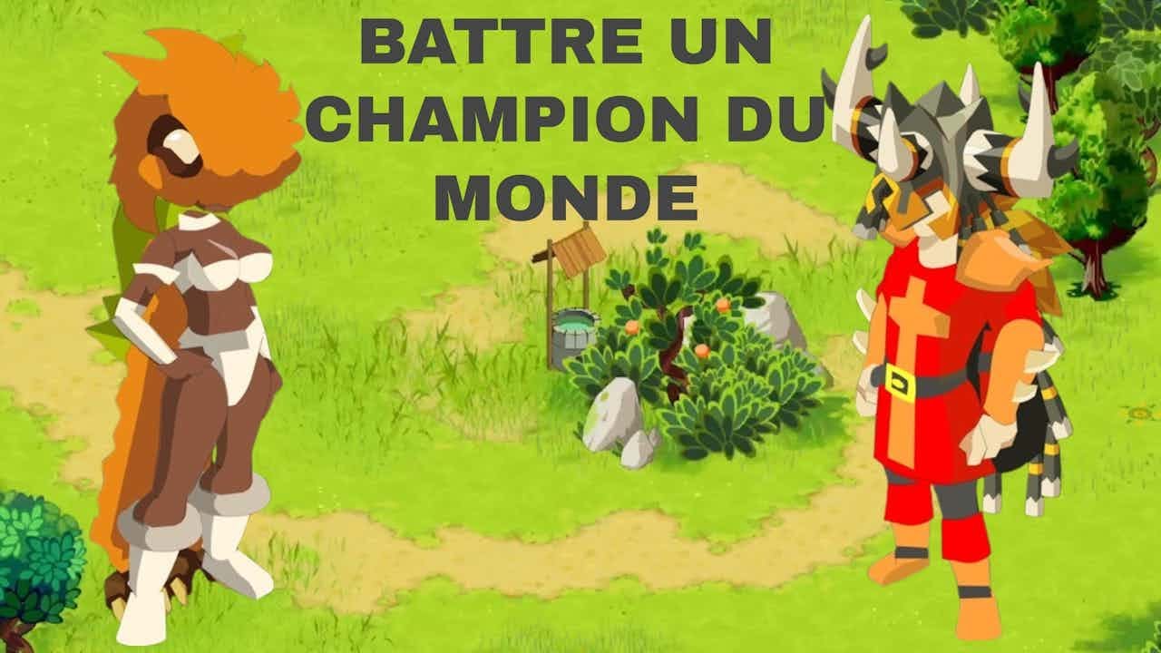 [BOUNE]3 agros commentées en sadi DOFUS RETRO PVP