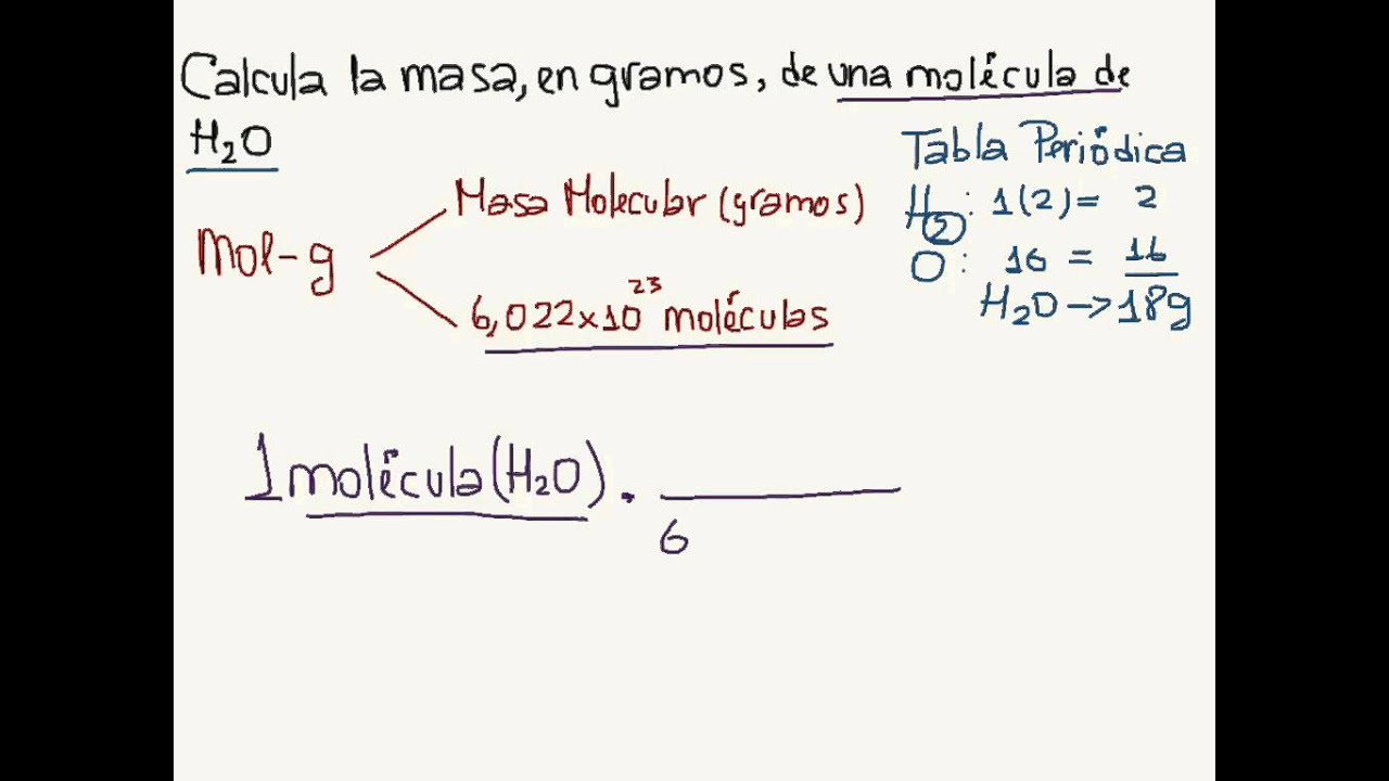 Calcula la masa en gramos de una molécula de agua