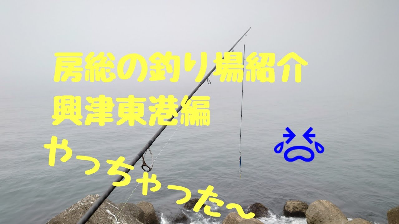 房総の釣り場紹介 興津東港編!
