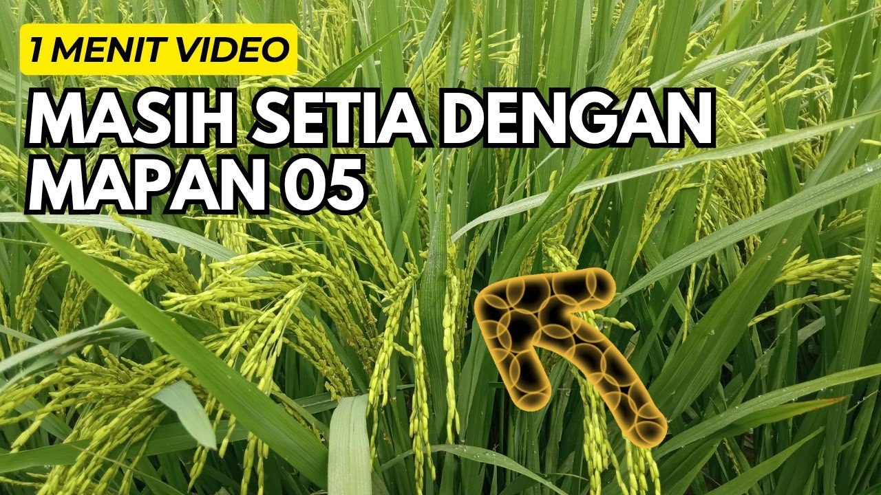 MAPAN 05 USIA 70 HST
