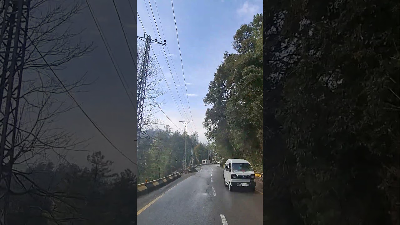 Murree Cold and Foggy Weather #murree #fog #coldweather #nathiagali #travel #mallroadmurree #nature