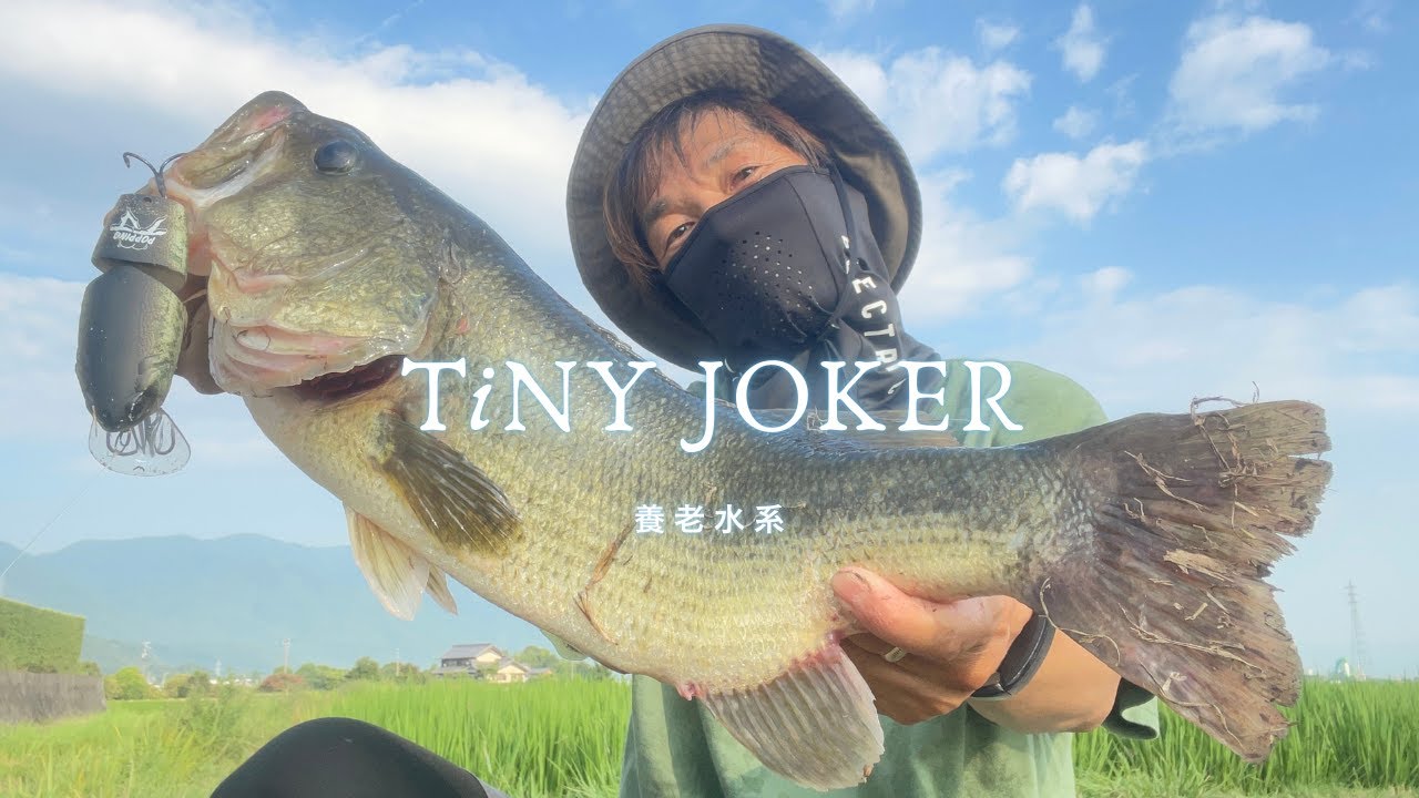 【DRT】TiNY JOKER / タイニージョーカー POPPING（DRT BASS）