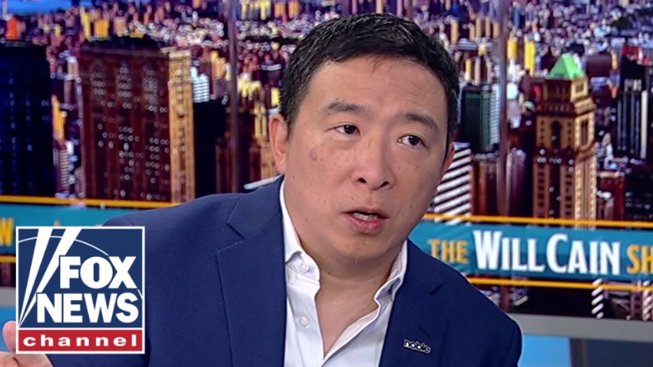 Dem Party is &lsquo;leaderless&rsquo;: Andrew Yang