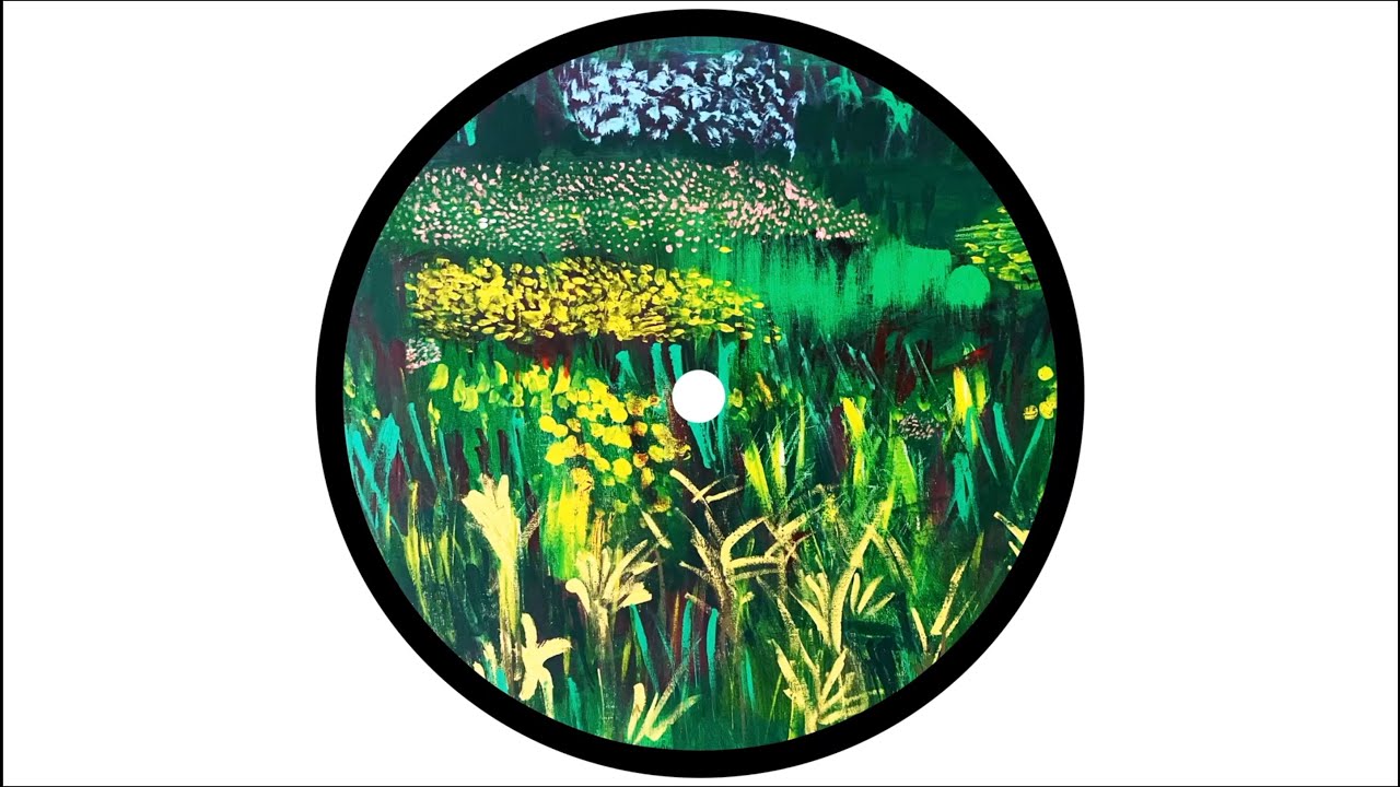 PAWSA - GOING TO THE PARK