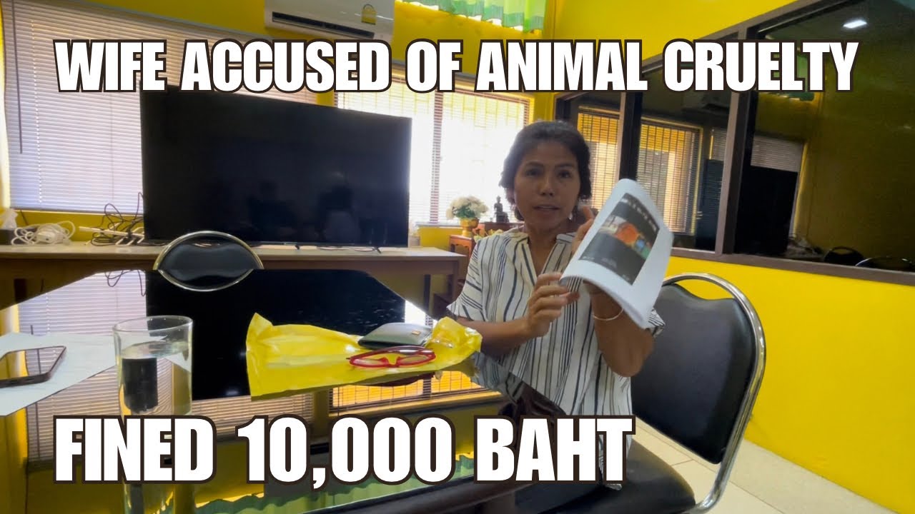 Fined in Phuket After False Accusations of Animal Cruelty and Animal Abandonment - cant make it up