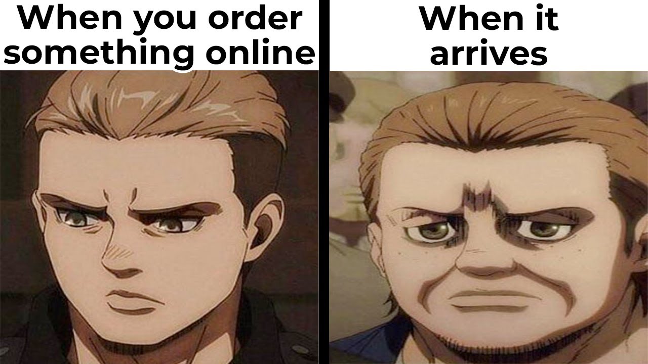 Attack on Titan Memes 7