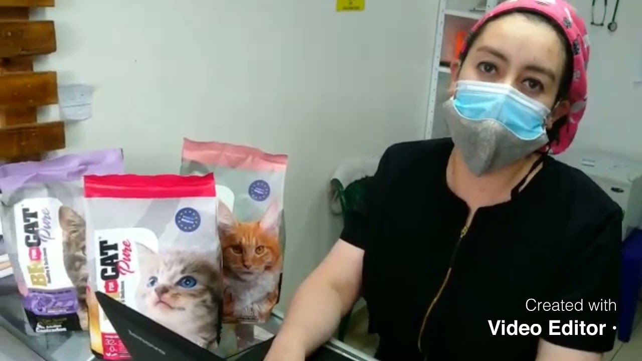 BR FOR CAT Agroveterinaria S&A