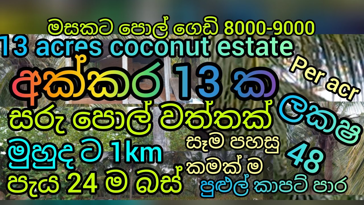land for sale # coconut land # income l# pol idam # vidasa tv # jude s watta # idam # investment # *
