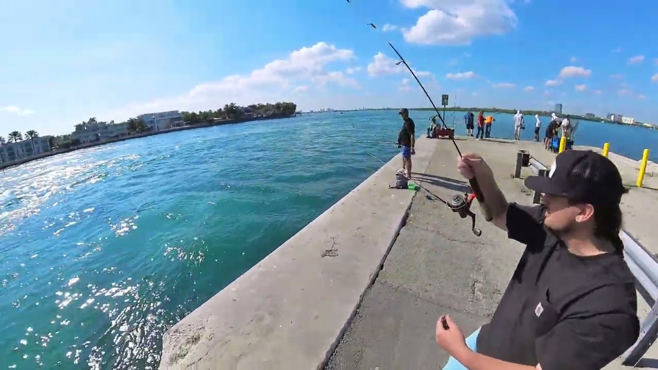 I-03: Fishing Haulover Inlet #fishinglife #fishing, #fish, #fishingvideo #needlefish