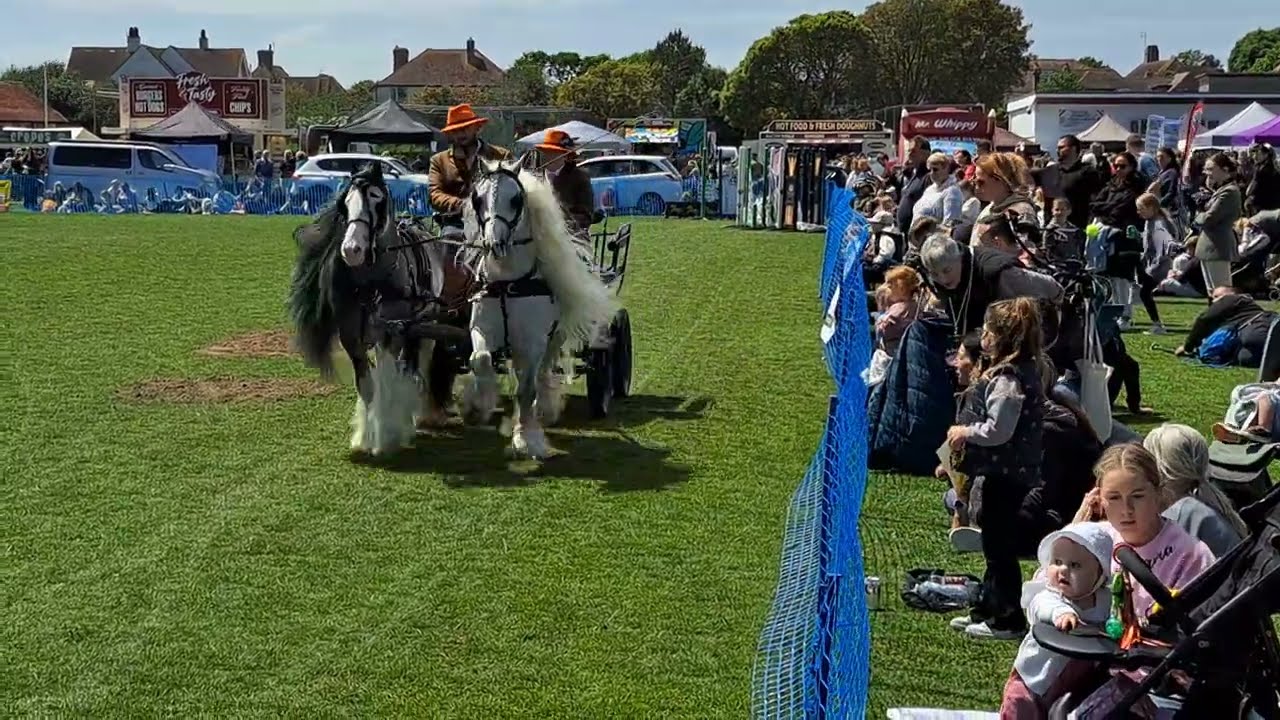 Gary docking's Bexhill-On-Sea Carriage Drive demonstration 2025