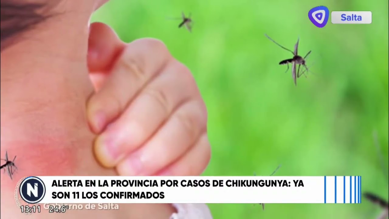 NOTICIERO MEDIODÍA 24-2-2026