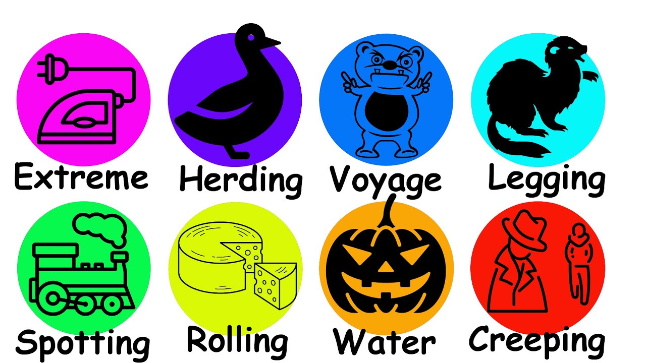 Weird Hobbies Explained In 11 Minutes