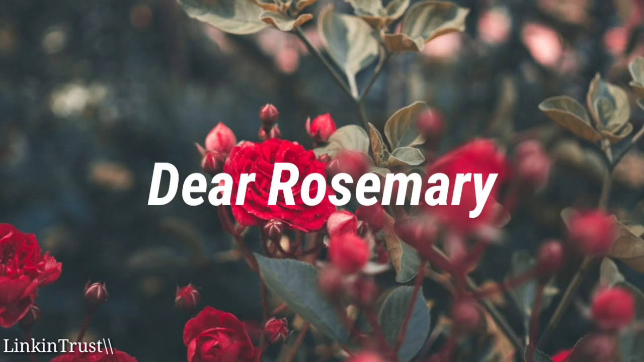 Foo Fighters - Dear Rosemary (Traducida al Español)