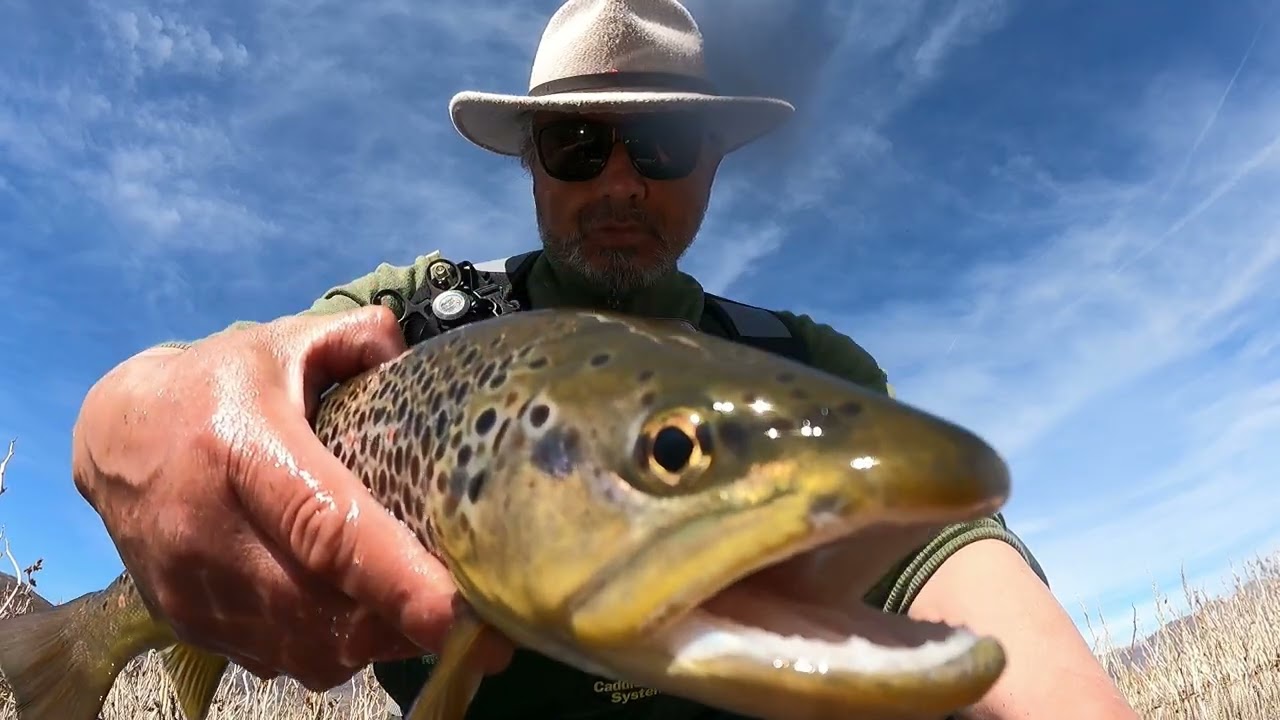 fly fishing in Deer Creek