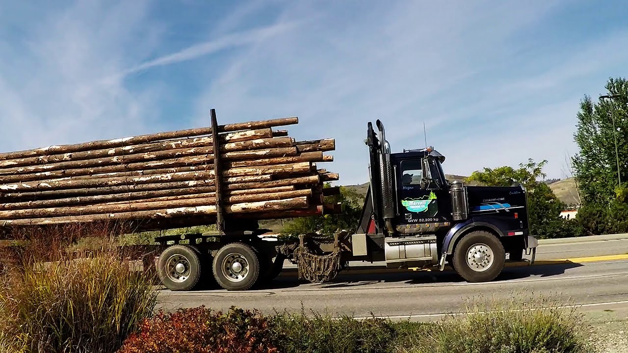 WESTERN STAR TRUCKS #4 — Older & Newer Western Star Logging Trucks Spotted Haulin’ Down The Highway
