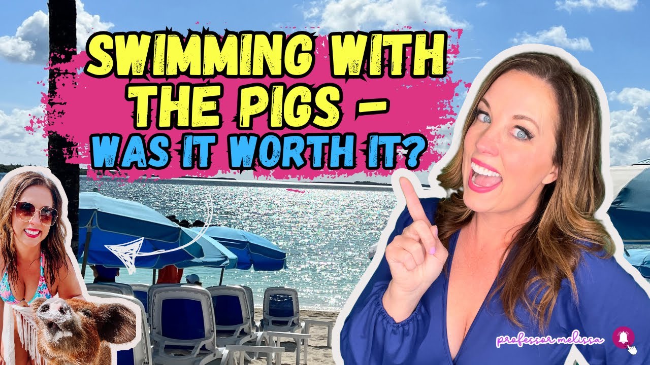 Swimming with Pigs: Is It Worth It?