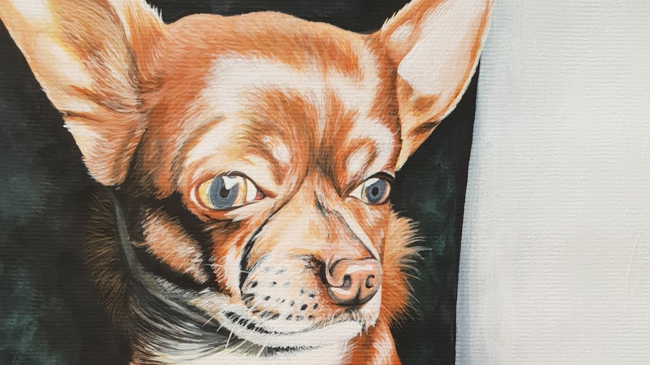 Hund (Chihuahua) malen / Painting a Dog