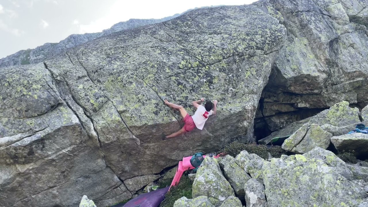 Rosa maialino, 8a. Gottardo