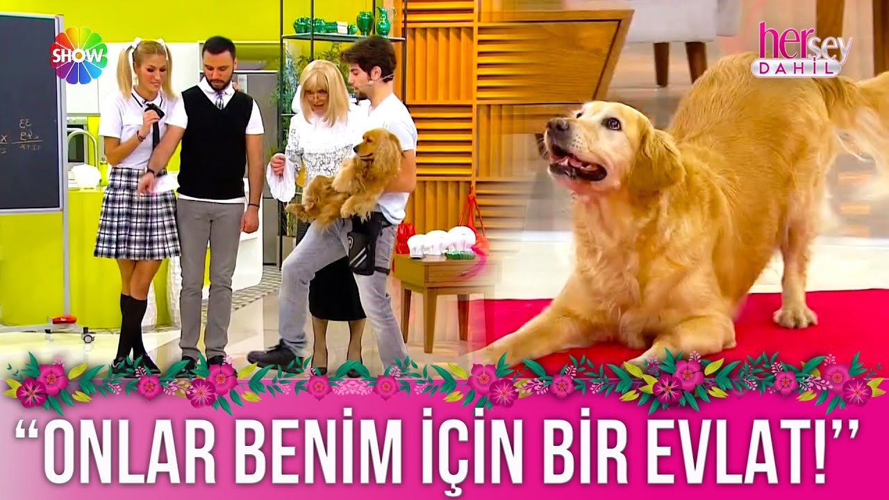 Yetenekli köpek Tarçın'dan eğlendiren şovlar! | Her Şey Dahil 97. Bölüm (2. Sezon)