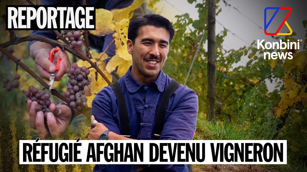 Réfugié d'Afghanistan, Haroon est devenu vigneron en Alsace| Reportage