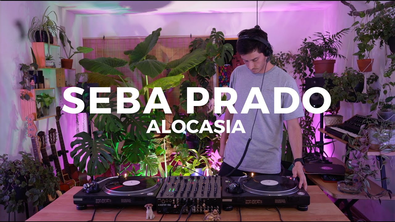 Alocasia TV Santiago - Seba Prado [Vinyl Set] #minimal #house #electro