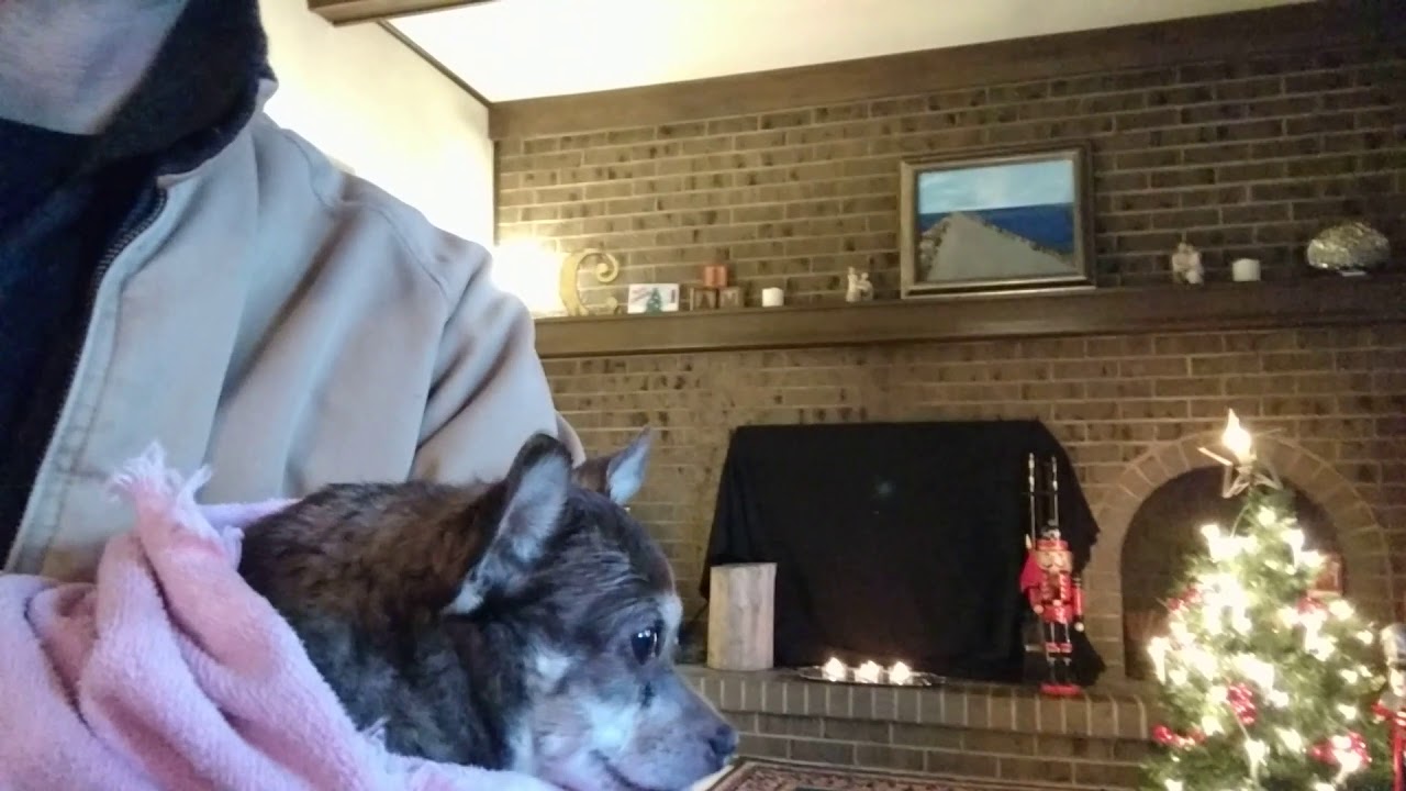 Great Health 365: Special Holiday Greetings From Zoe